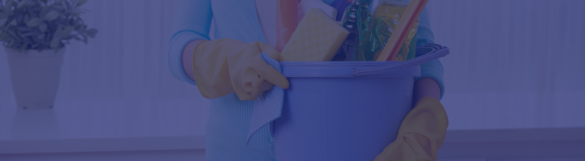 cleaning testimomial img